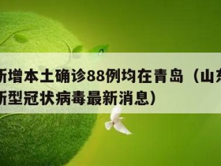 山东新增本土确诊88例均在青岛（山东青岛新增新型冠状病毒最新消息）