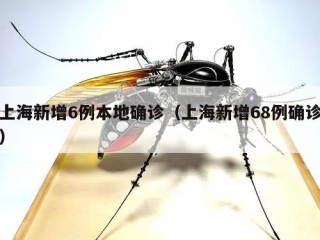 上海新增6例本地确诊（上海新增68例确诊）