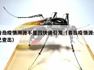 青岛疫情溯源不是因快递引发（青岛疫情源头已查出）